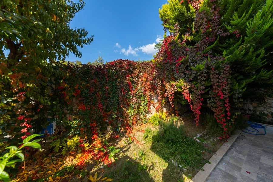 Villa Sultan İslamlar - 23