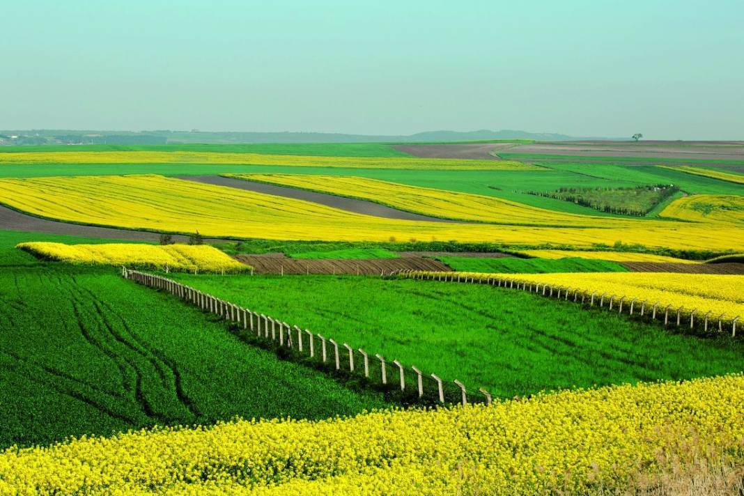 Hisarönü 500 m² Konut İmarlı Arsa