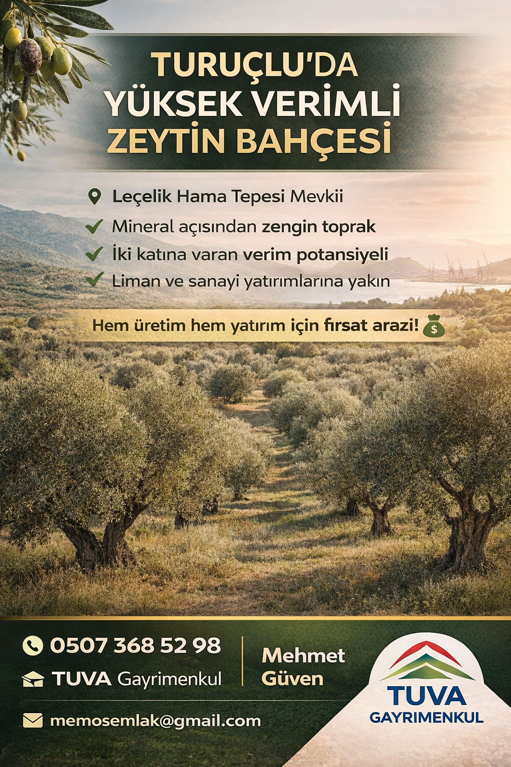 TUVA GAYRİMENKUL’DEN TURUÇLU’DA ZEYTİN BAHÇESİ