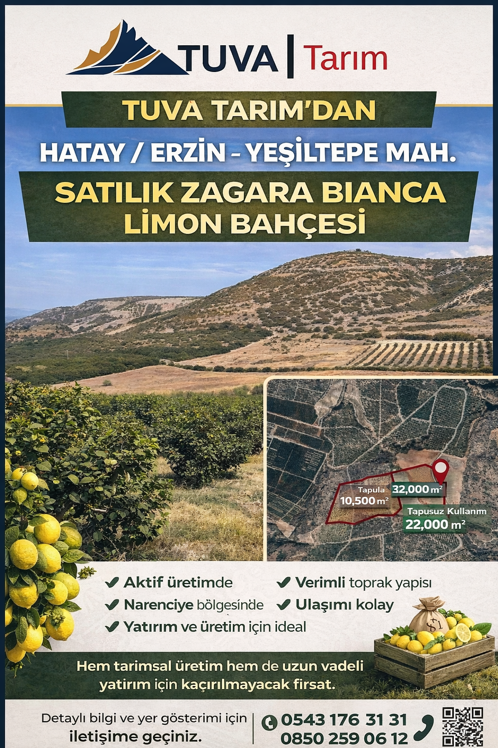 TUVA GAYRİMENKULDEN ERZİN’DE 8 YAŞ LİMON BAHÇESİ – HEMEN VERİM, 