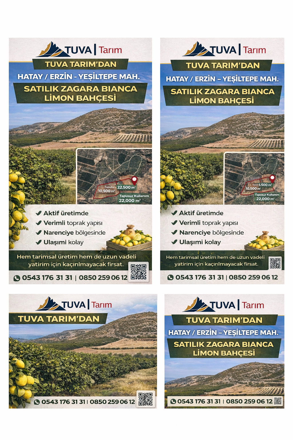 TUVA GAYRİMENKULDEN ERZİN’DE 8 YAŞ LİMON BAHÇESİ – HEMEN VERİM, - 2