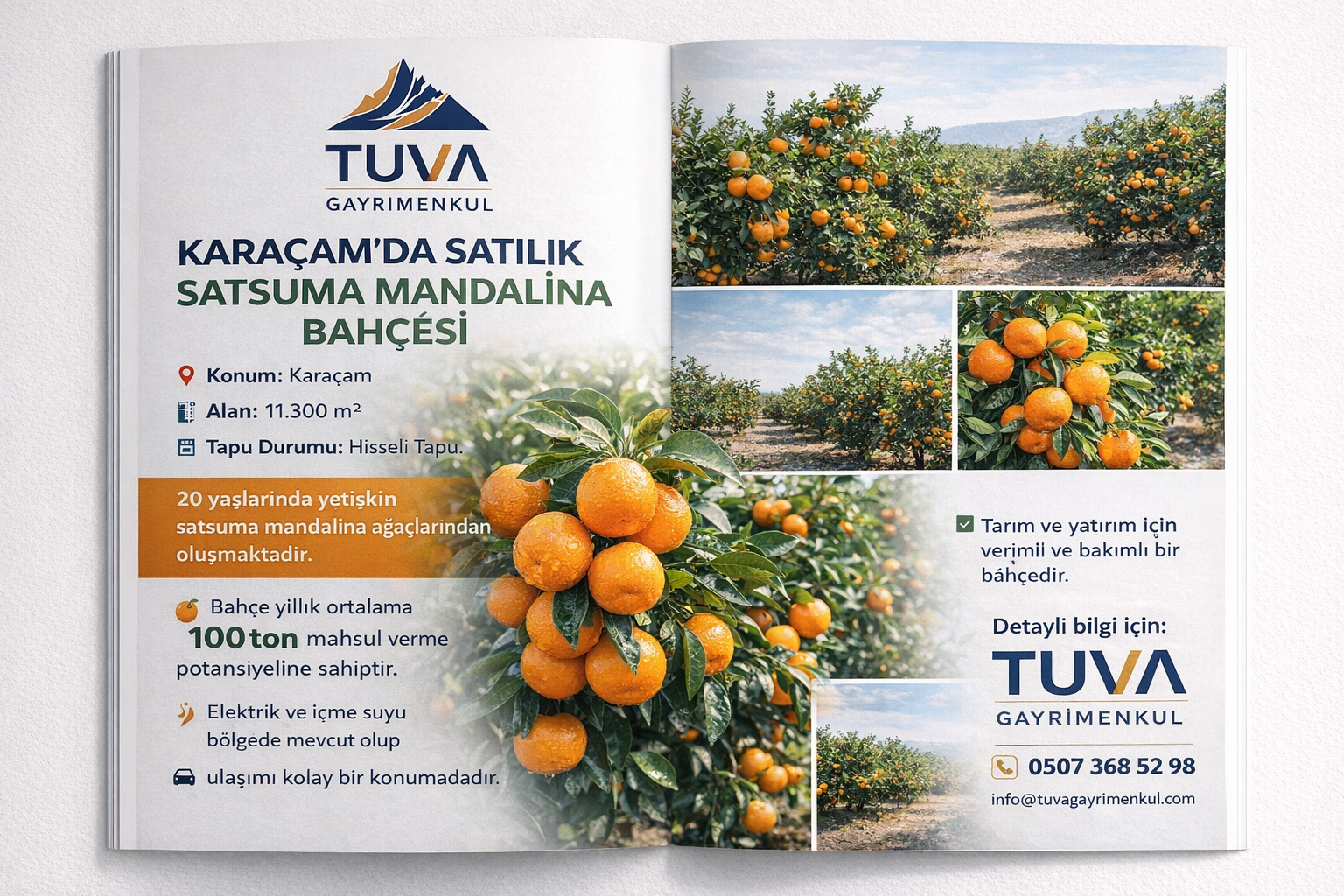 Tuva gayrimenkulden kısıkta 18000 m2 satsuma mandalina bahçesi 